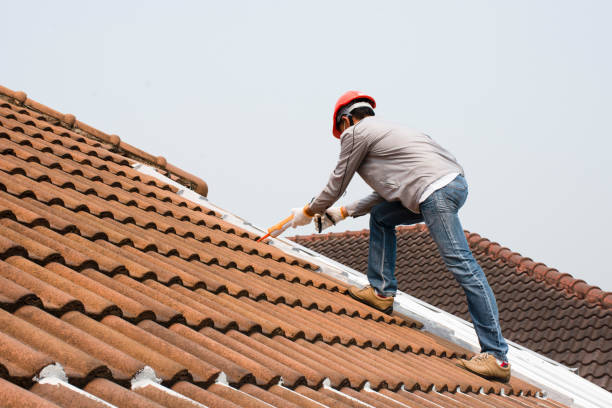 Best Cold Roofs  in Harwood Heights, IL